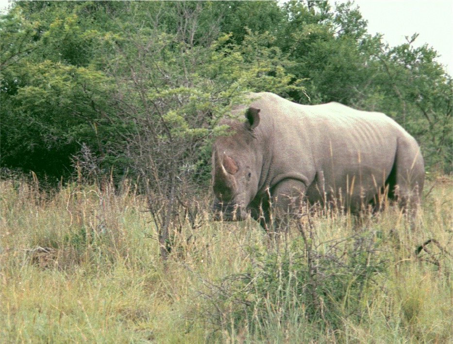 Mpofu Nature Reserve, Eastern Cape
