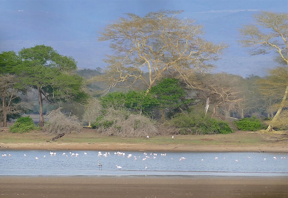 Ndumo Game Reserve, KwaZulu-Natal