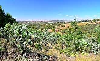Moreleta Kloof Nature Reserve, Gauteng