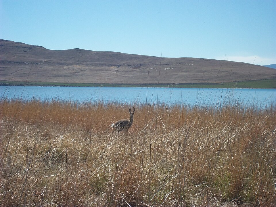 Sterkfontein Dam Nature Reserve, Free State
