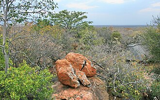 Sondela Nature Reserve, Limpopo
