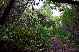 Pledge Nature Reserve, Western Cape