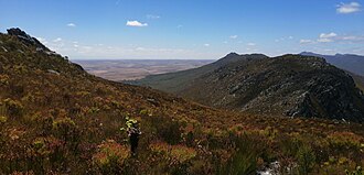 Phillipskop Mountain Reserve, Western Cape