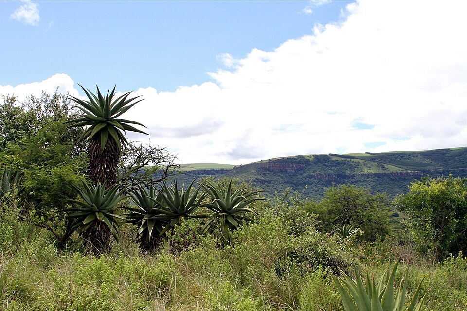 Cumberland Nature Reserve, KwaZulu-Natal