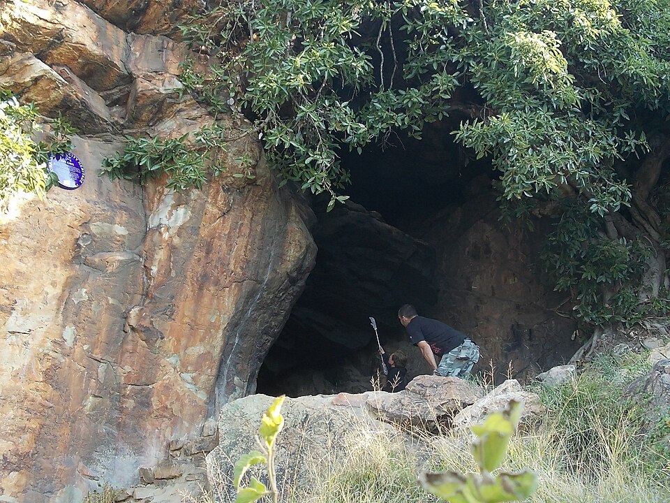 Melville Koppies, Gauteng