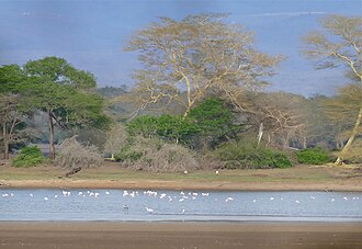 Ndumo Game Reserve, KwaZulu-Natal