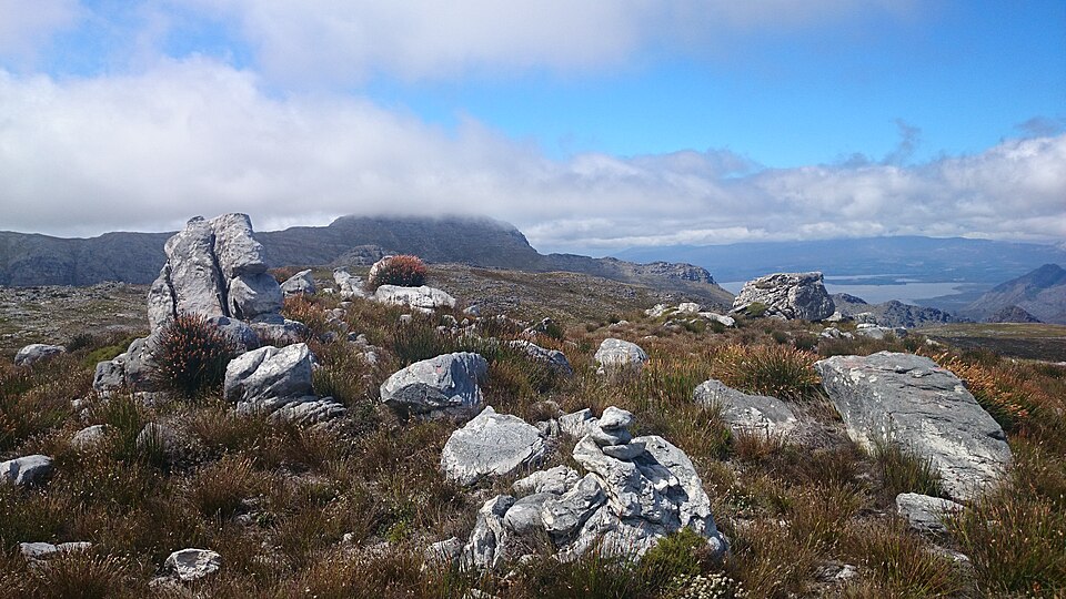 Monte Rochelle Nature Reserve, Western Cape