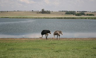 Bronkhorstspruit Dam Nature Reserve, Gauteng