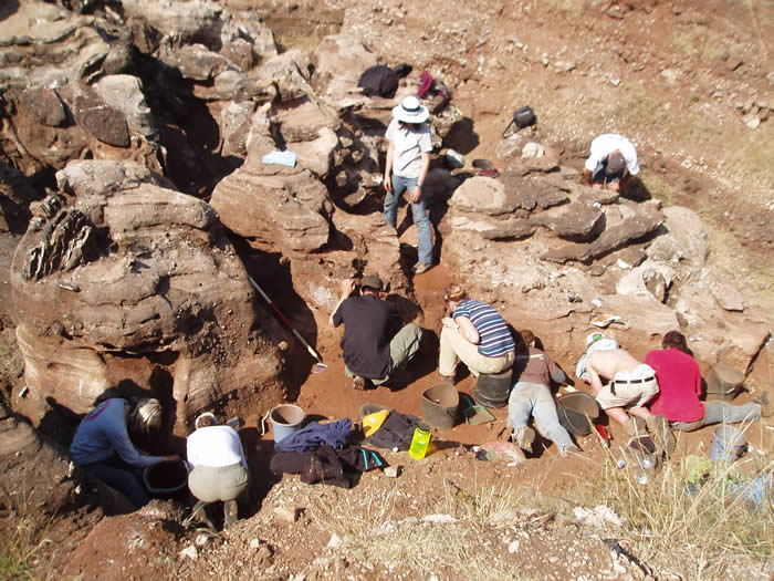 Gladysvale Cave, Gauteng