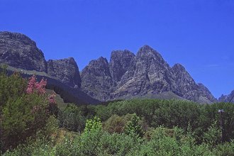 Jonkershoek Nature Reserve, Western Cape
