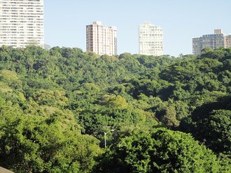 Burman Bush, KwaZulu-Natal