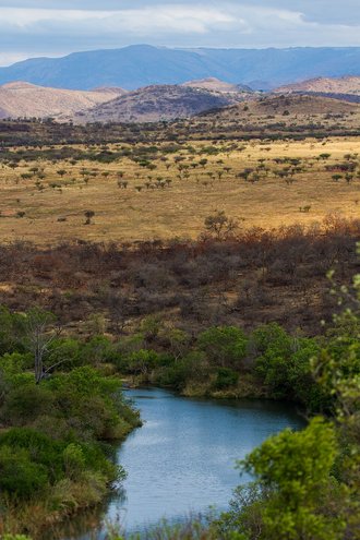 Nkomazi Game Reserve, Mpumalanga