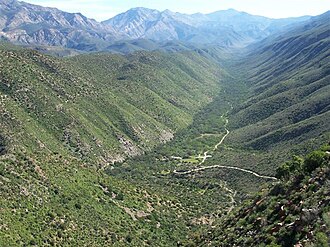 Swartberg Nature Reserve, Western Cape