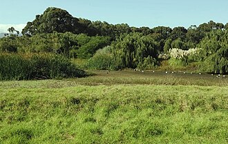 Dick Dent Bird Sanctuary, Western Cape
