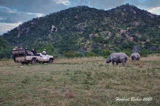 Mthethomusha Game Reserve, Mpumalanga