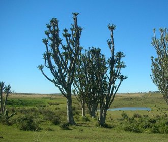 Great Fish River Nature Reserve, Eastern Cape