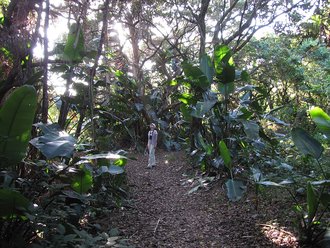 Bluff Nature Reserve, KwaZulu-Natal