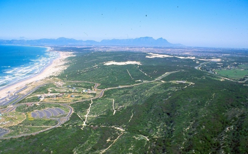 Macassar Dunes Conservation Area, Western Cape