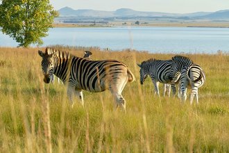 Chelmsford Nature Reserve, KwaZulu-Natal