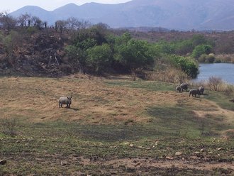Songimvelo Game Reserve, Mpumalanga