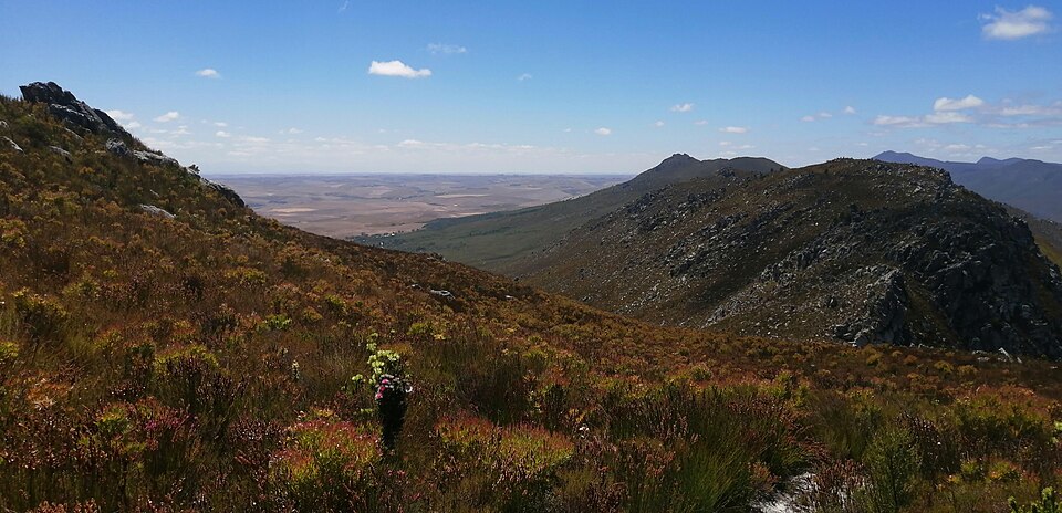 Phillipskop Mountain Reserve, Western Cape