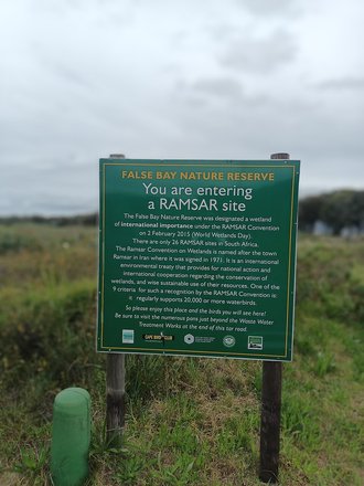 False Bay Nature Reserve, Western Cape