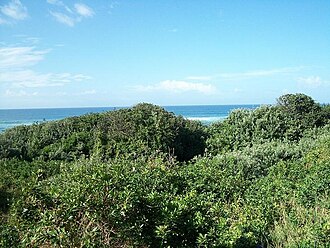 Pipeline Coastal Park, KwaZulu-Natal