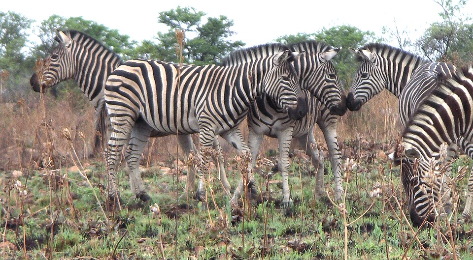 Roodeplaat Nature Reserve, Gauteng