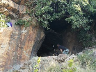 Melville Koppies, Gauteng