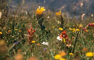 Harmony Flats Nature Reserve, Western Cape
