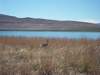 Sterkfontein Dam Nature Reserve, Free State