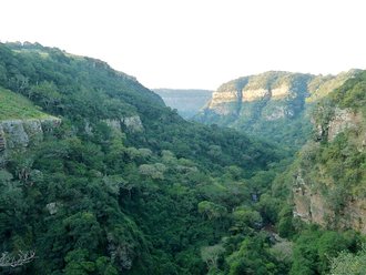 Krantzkloof Nature Reserve, KwaZulu-Natal