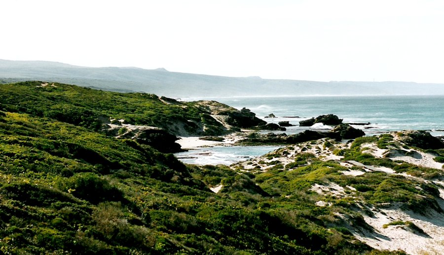 De Hoop Nature Reserve, Western Cape
