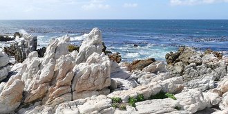 Stony Point Nature Reserve, Western Cape