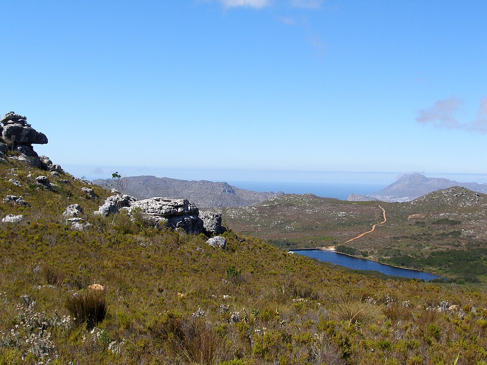 Silvermine Nature Reserve, Western Cape