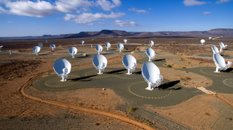 Meerkat National Park, Northern Cape