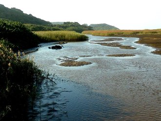 Umhlanga Lagoon, KwaZulu-Natal