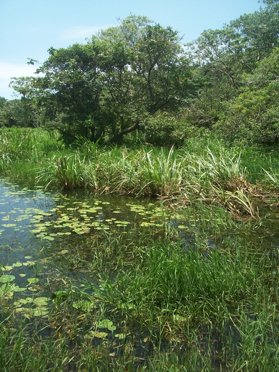 Empisini Nature Reserve, KwaZulu-Natal