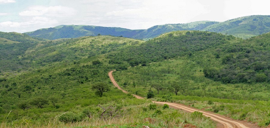 Hluhluwe–iMfolozi Park, KwaZulu-Natal