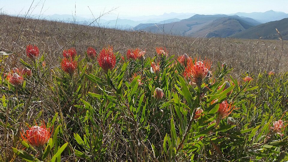 Mountainlands Nature Reserve, Mpumalanga