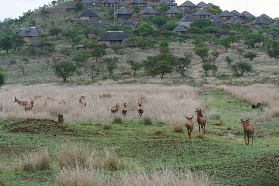 Kleinfontein, Limpopo