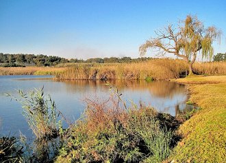 Modderfontein Reserve, Gauteng