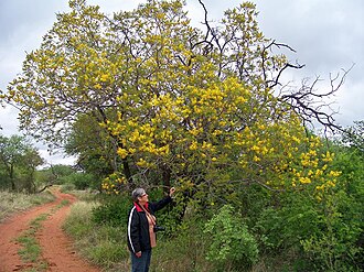 Blouberg Nature Reserve, Limpopo