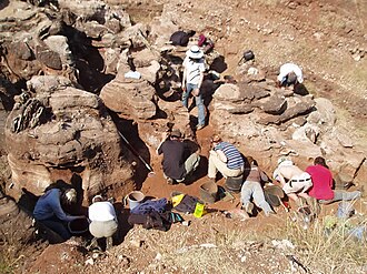 Gladysvale Cave, Gauteng