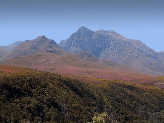 Boosmansbos Wilderness Area, Western Cape