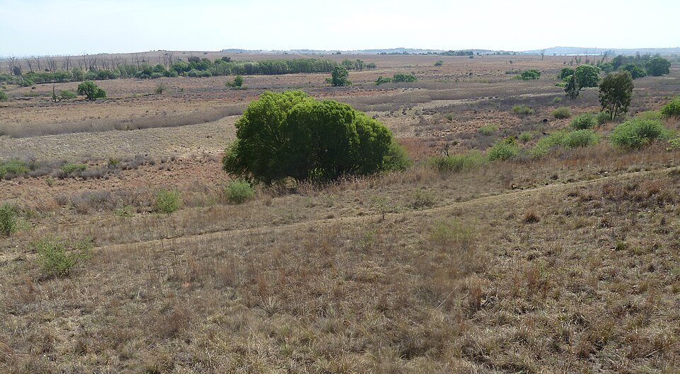 Rietvlei Nature Reserve, Gauteng
