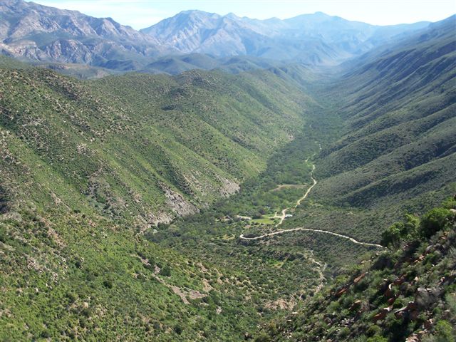 Swartberg Nature Reserve, Western Cape
