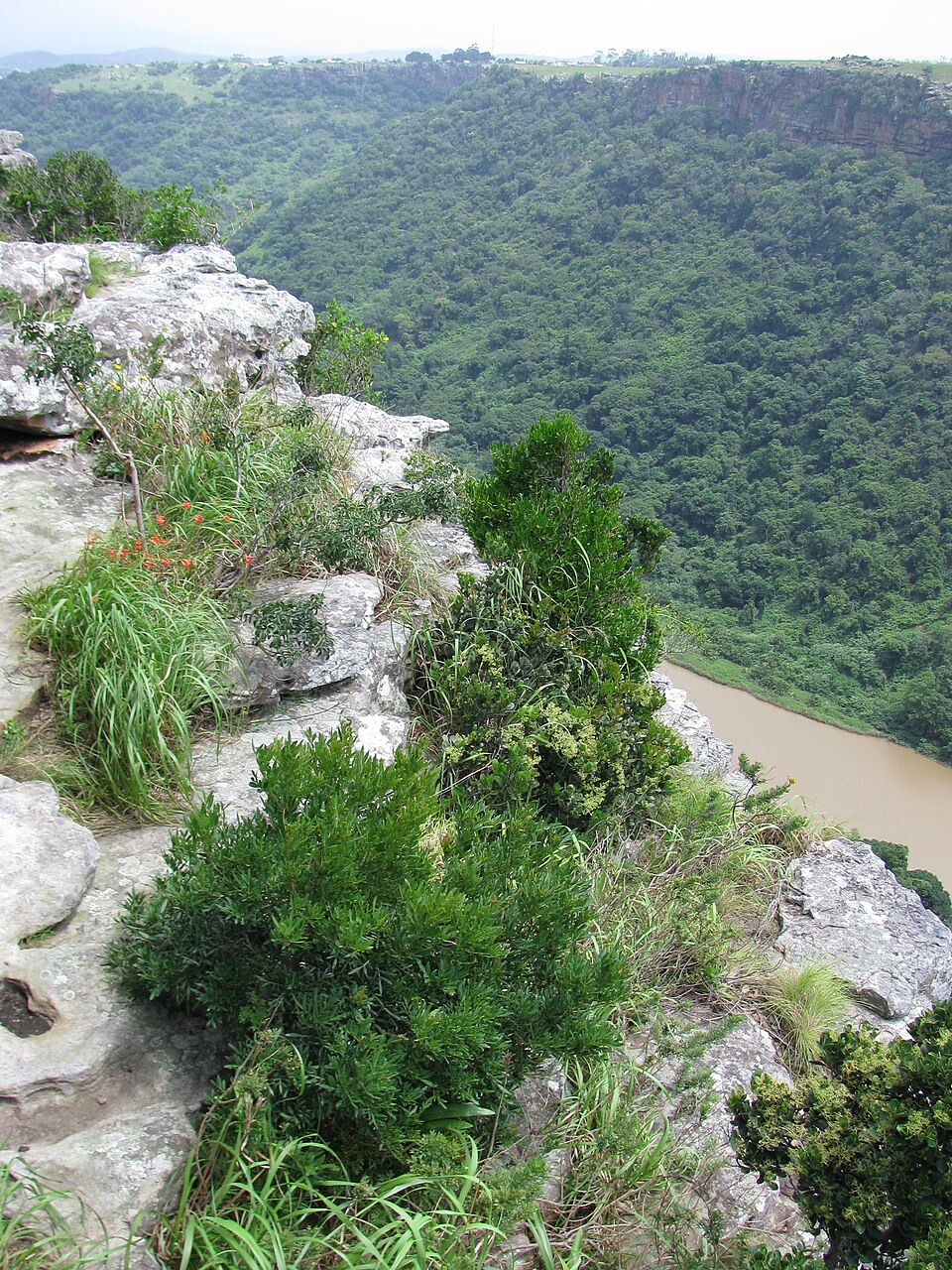 Umtamvuna Nature Reserve, KwaZulu-Natal