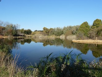 Austin Roberts Bird Sanctuary, Gauteng