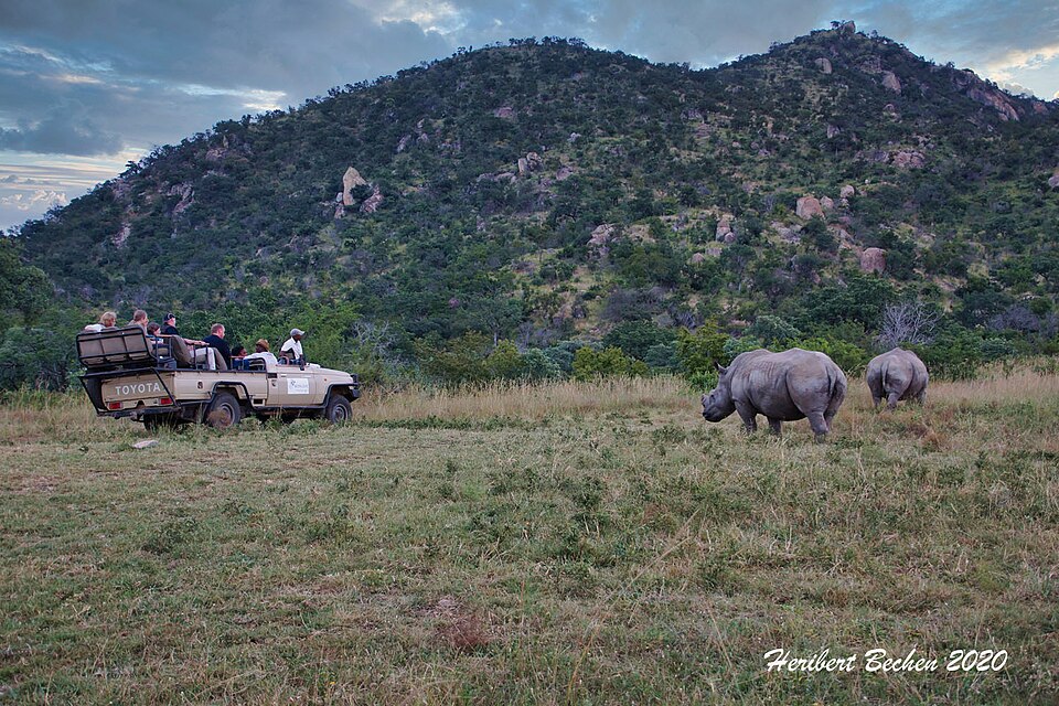 Mthethomusha Game Reserve, Mpumalanga